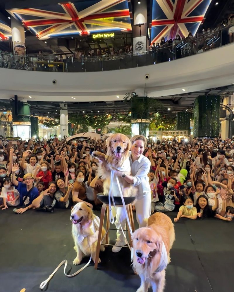 จุ๊มเหม่ง จุ๊มเหม่ง