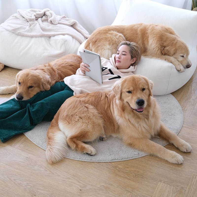 จุ๊มเหม่ง จุ๊มเหม่ง