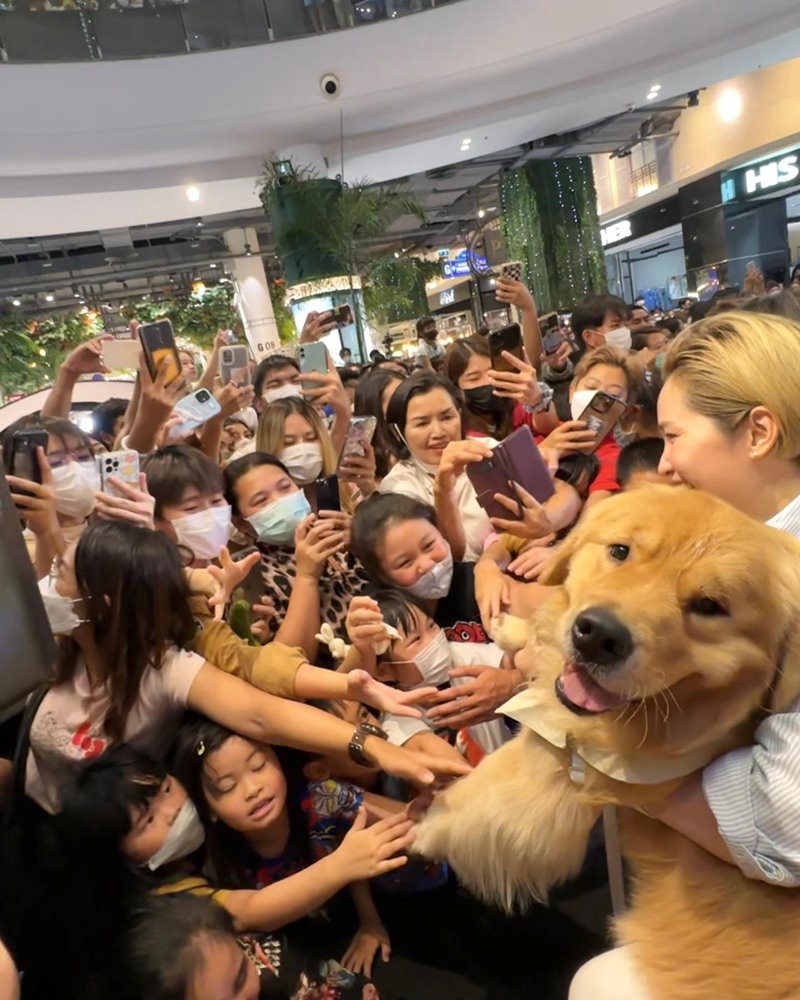 จุ๊มเหม่ง จุ๊มเหม่ง