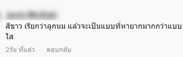 ข้างในลูกแก้ว ข้างในลูกแก้ว