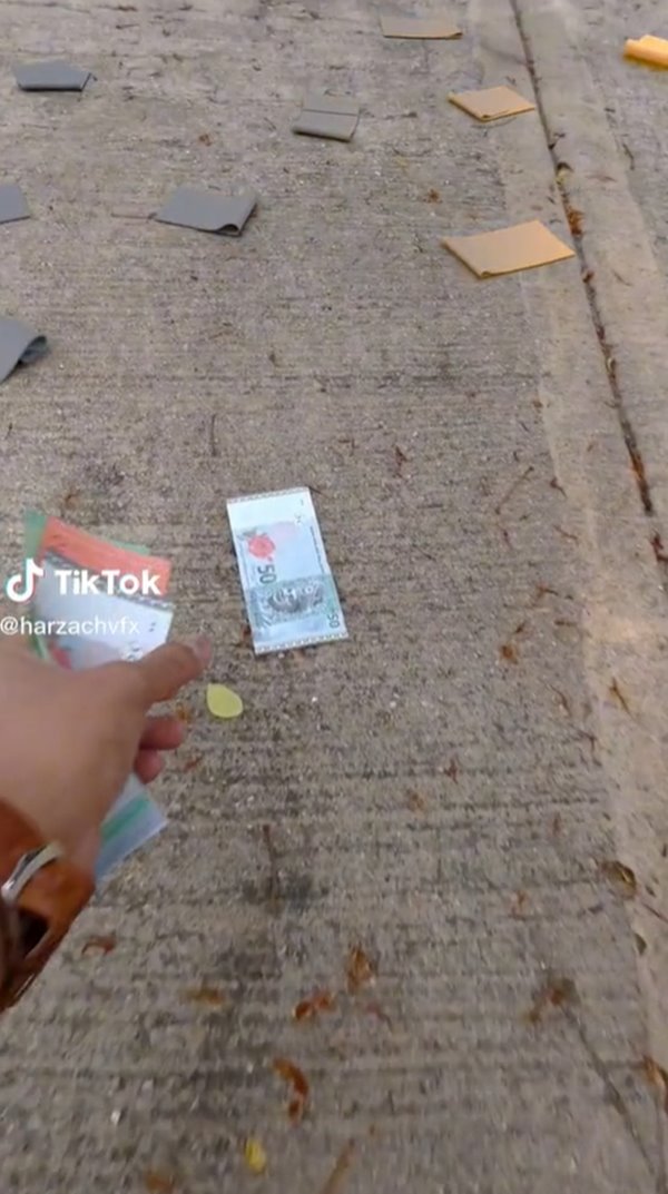 เงินร่วงจากต้นไม้ เงินร่วงจากต้นไม้