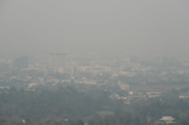 แพ้ฝุ่น แพ้ฝุ่น