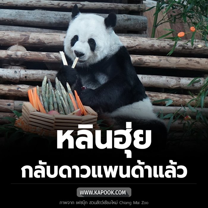 หลินฮุ่ย หลินฮุ่ย