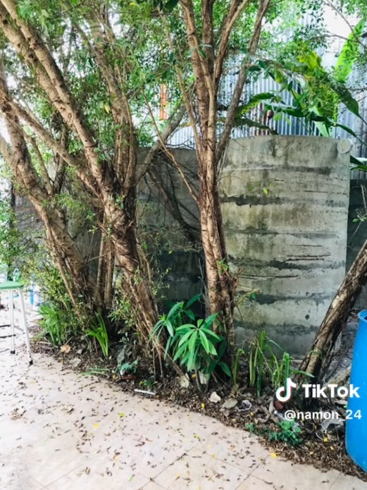 โรงแรมเกาะช้าง โรงแรมเกาะช้าง