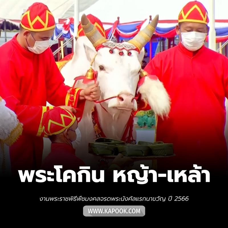 วันพืชมงคล 2566 วันพืชมงคล 2566