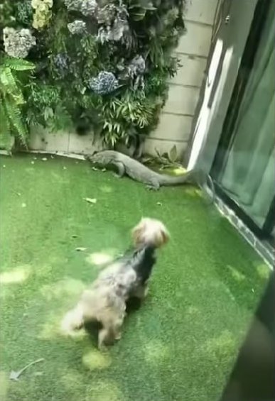 ไอซ์ ปรีชญา ไอซ์ ปรีชญา