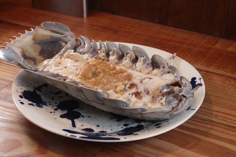 แมลงสาบทะเลยักษ์ แมลงสาบทะเลยักษ์