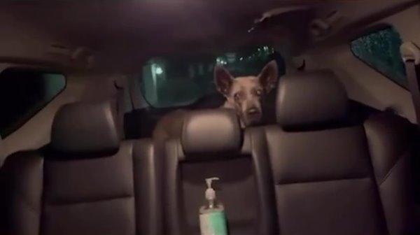 ลำดวน หมาสรยุทธ ลำดวน หมาสรยุทธ