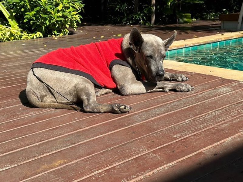 ลำดวน หมาสรยุทธ ลำดวน หมาสรยุทธ