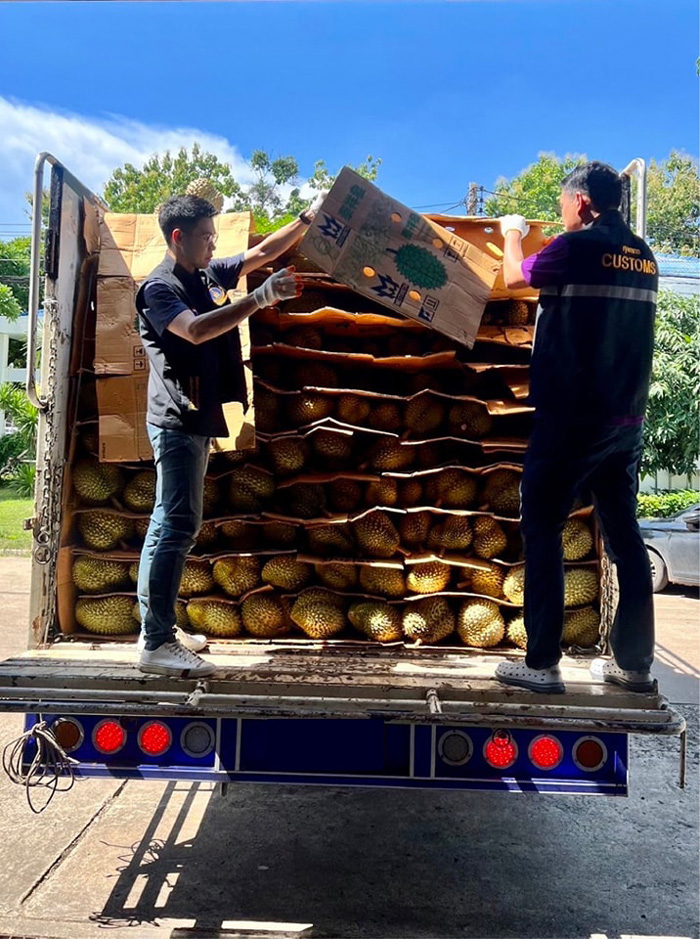 ทุเรียนเถื่อน ทุเรียนเถื่อน