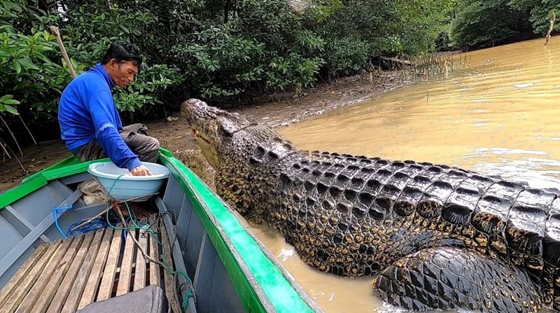 คนกับจระเข้ คนกับจระเข้