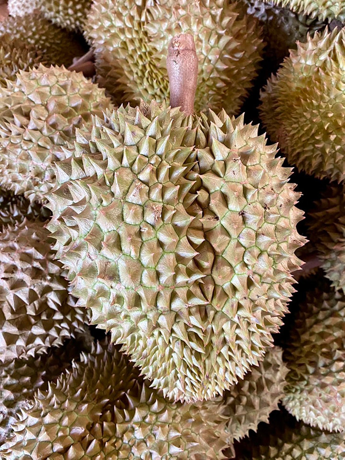 ทุเรียนเถื่อน ทุเรียนเถื่อน