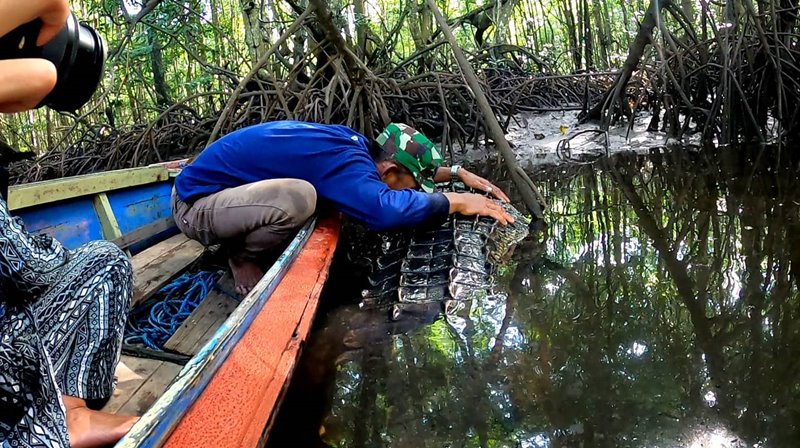 คนกับจระเข้ คนกับจระเข้