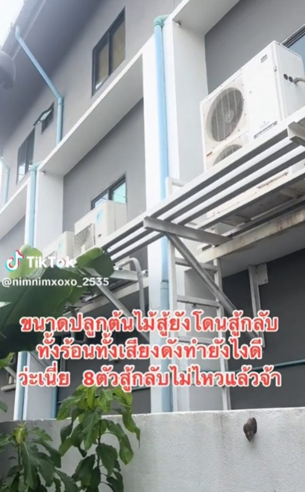 ปัญหาเพื่อนบ้าน ปัญหาเพื่อนบ้าน