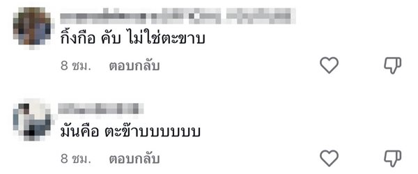 สัตว์แปลกคล้ายตะขาบ สัตว์แปลกคล้ายตะขาบ