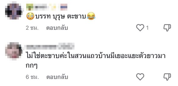 สัตว์แปลกคล้ายตะขาบ สัตว์แปลกคล้ายตะขาบ