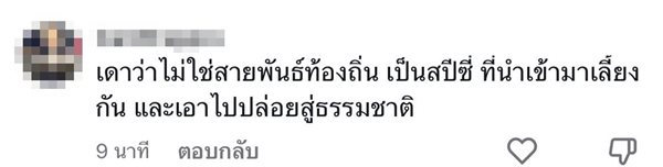สัตว์แปลกคล้ายตะขาบ สัตว์แปลกคล้ายตะขาบ