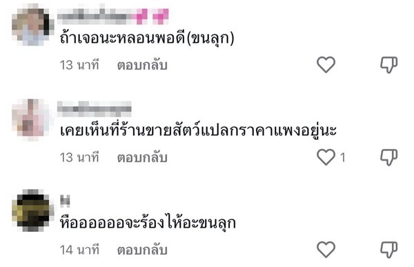 สัตว์แปลกคล้ายตะขาบ สัตว์แปลกคล้ายตะขาบ