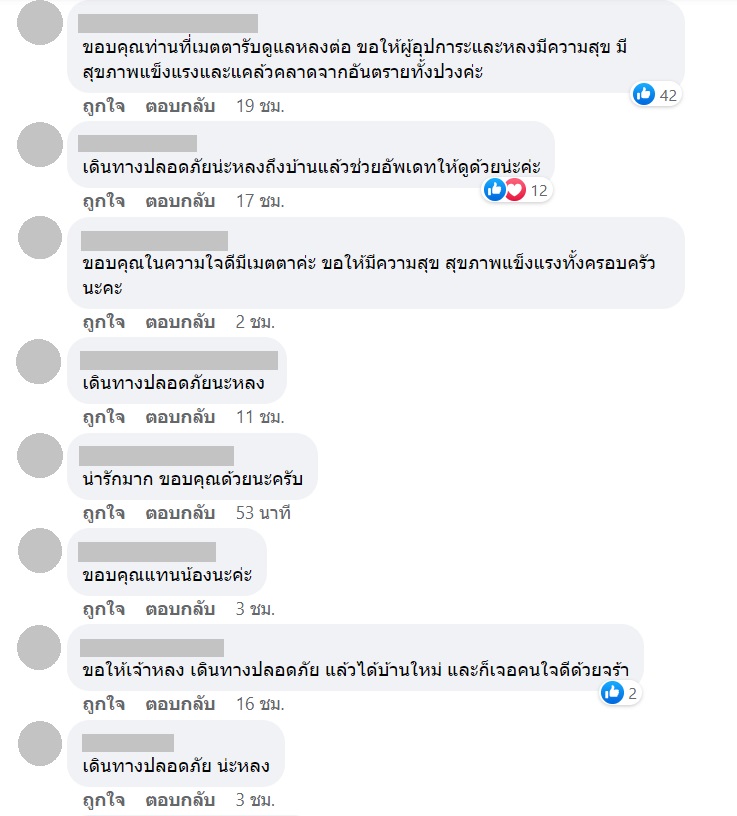 เจ้าหลง สุนัขหัวหิน เจ้าหลง สุนัขหัวหิน