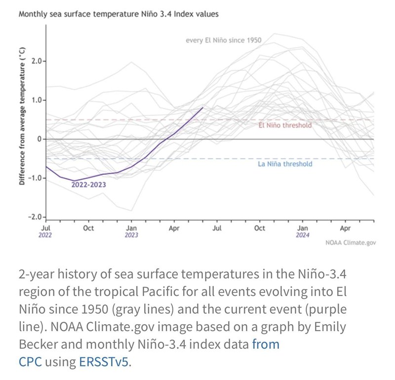 เอล นีโญ่ เอล นีโญ่