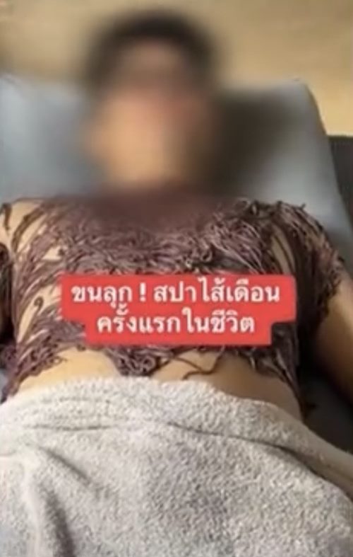 สปาไส้เดือน สปาไส้เดือน