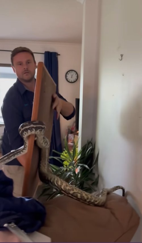 ภาพขยับเอง ภาพขยับเอง