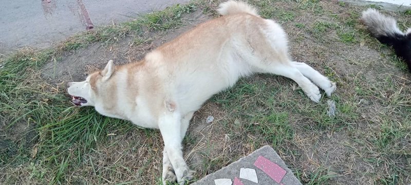 ปัญหาเพื่อนบ้าน ปัญหาเพื่อนบ้าน