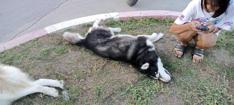 ปัญหาเพื่อนบ้าน ปัญหาเพื่อนบ้าน