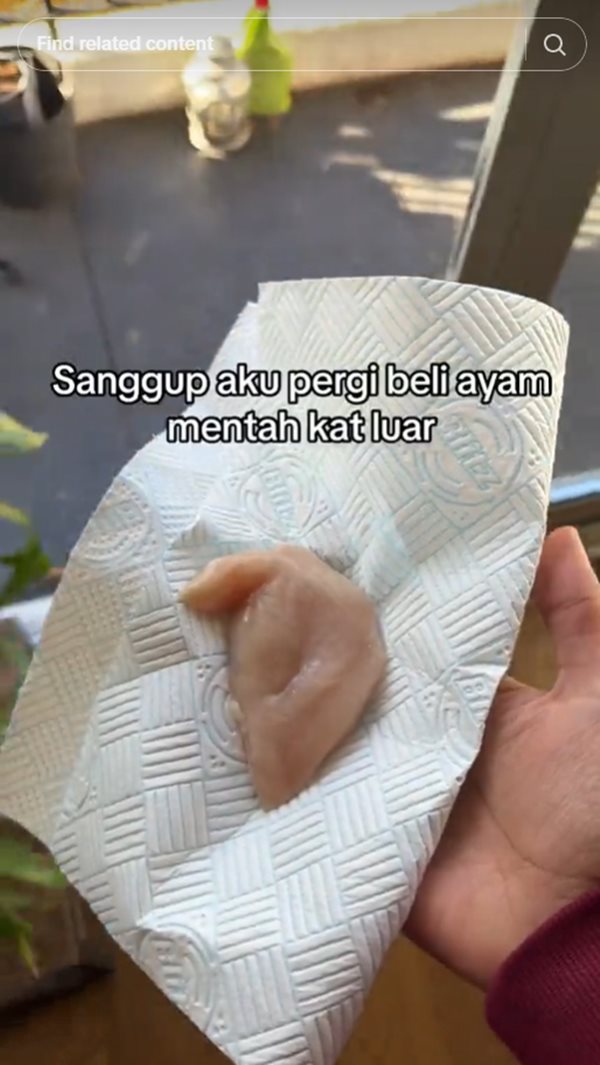 สุนัขจิ้งจอก สุนัขจิ้งจอก