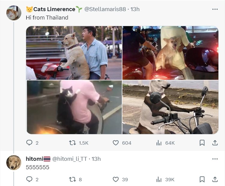 หมานั่งมอเตอร์ไซค์ หมานั่งมอเตอร์ไซค์