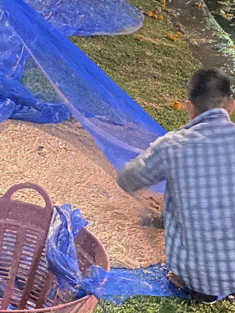 กระทงขนมปัง กระทงขนมปัง