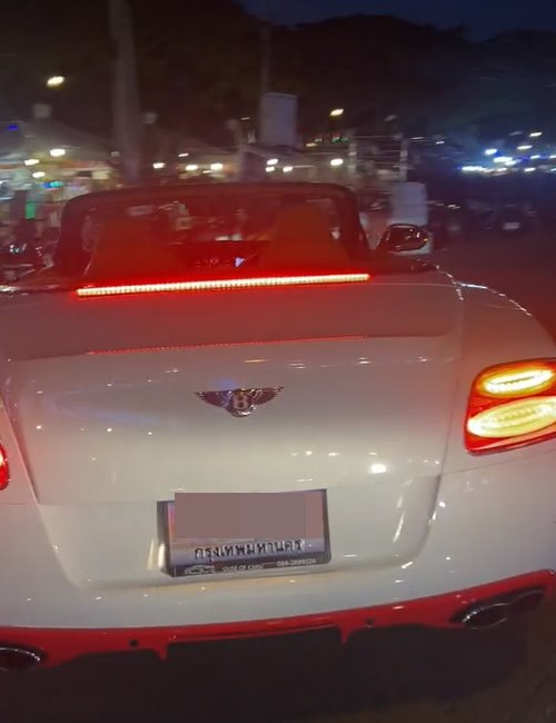 สิงโตนั่งรถเปิดประทุน สิงโตนั่งรถเปิดประทุน