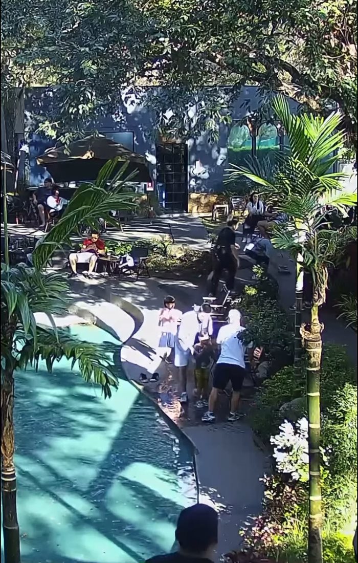 เด็กตกสระน้ำคาเฟ่ เด็กตกสระน้ำคาเฟ่