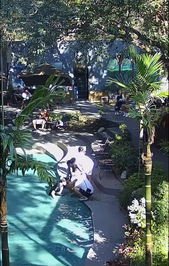 เด็กตกสระน้ำคาเฟ่ เด็กตกสระน้ำคาเฟ่