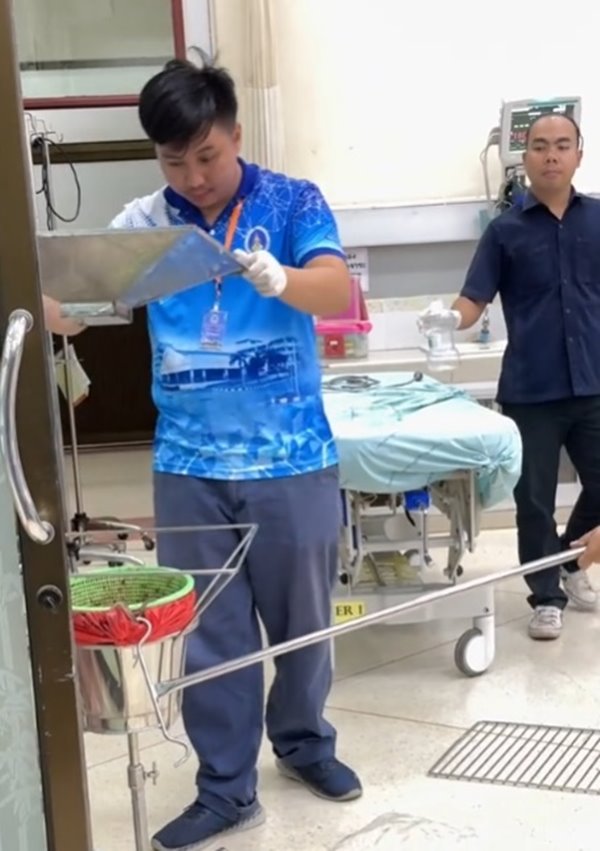 งูหลุดในโรงพยาบาล งูหลุดในโรงพยาบาล