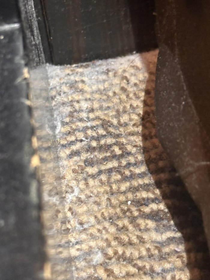 โรงแรม โรงแรม