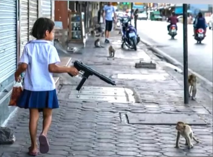 ปัญหาลิงลพบุรี ปัญหาลิงลพบุรี