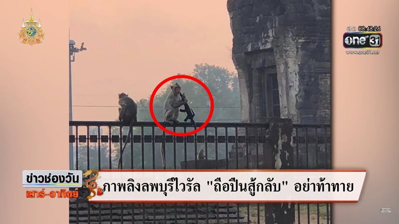 ปัญหาลิงลพบุรี ปัญหาลิงลพบุรี
