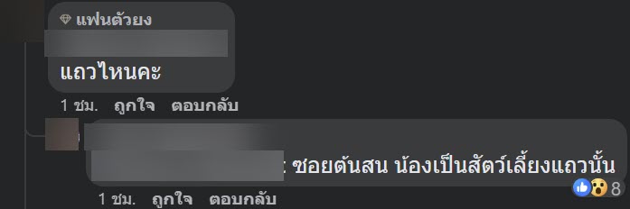 ตัวเงินตัวทอง ตัวเงินตัวทอง