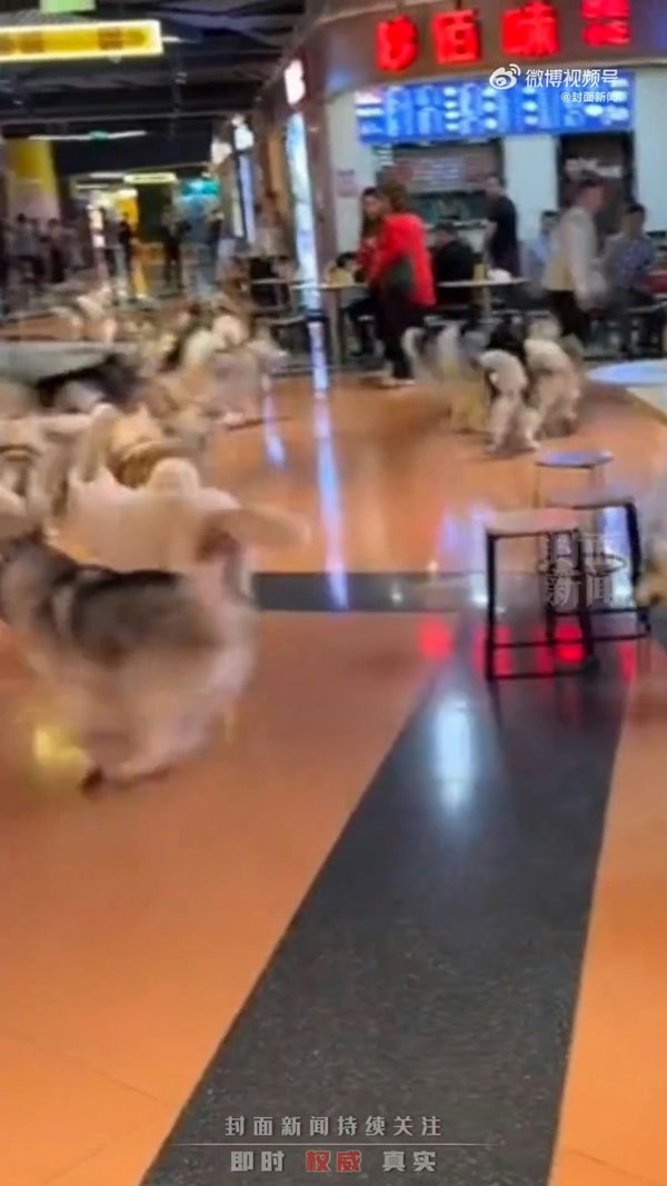 ไซบีเรียนหลุด ไซบีเรียนหลุด