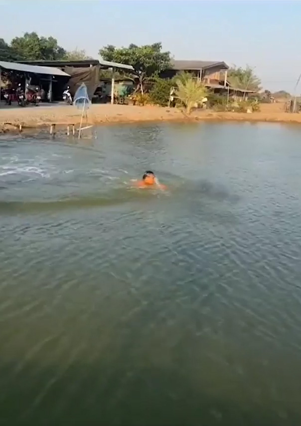 ดำน้ำเหมือนฮิปโป ดำน้ำเหมือนฮิปโป