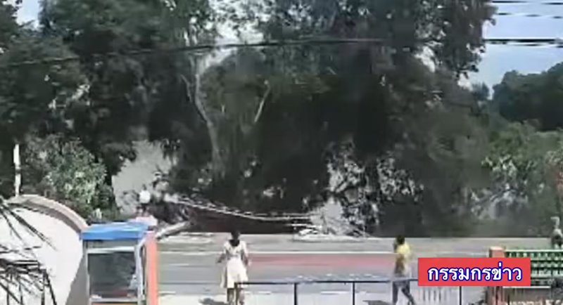 ดินสไลด์ ดินสไลด์