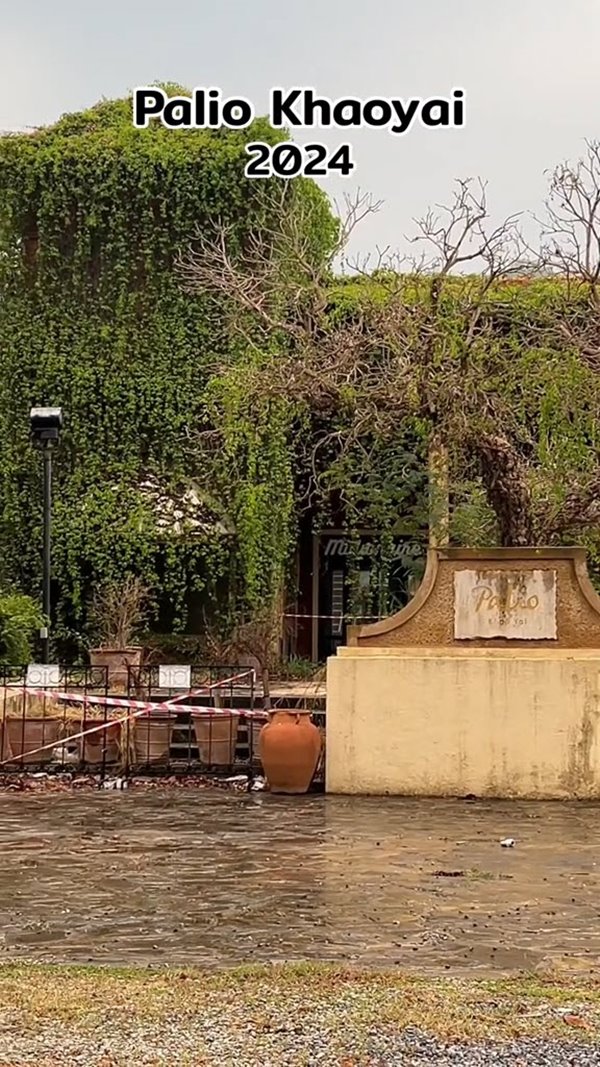 ปาลิโอ เขาใหญ่ ปาลิโอ เขาใหญ่