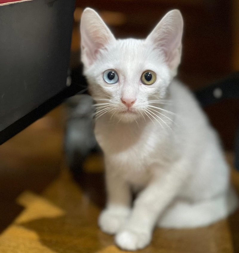 สรยุทธ สุทัศนะจินดา สรยุทธ สุทัศนะจินดา