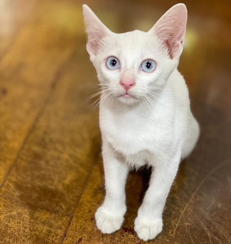 สรยุทธ สุทัศนะจินดา สรยุทธ สุทัศนะจินดา