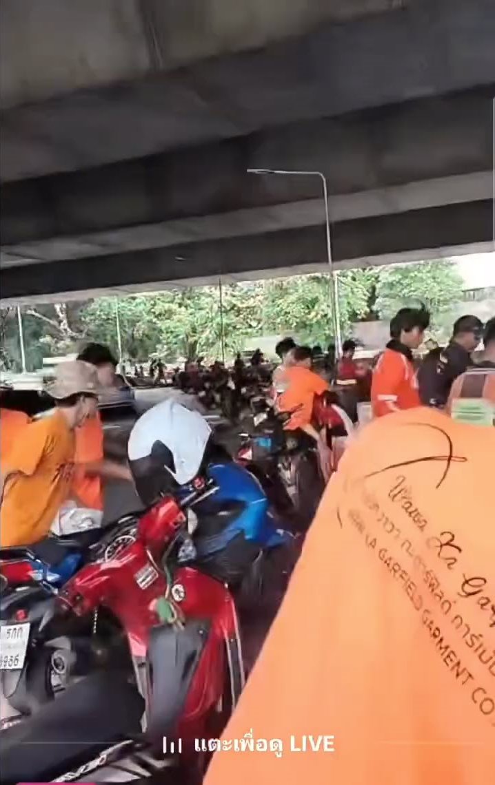 ปลาหมอคางดำ ปลาหมอคางดำ