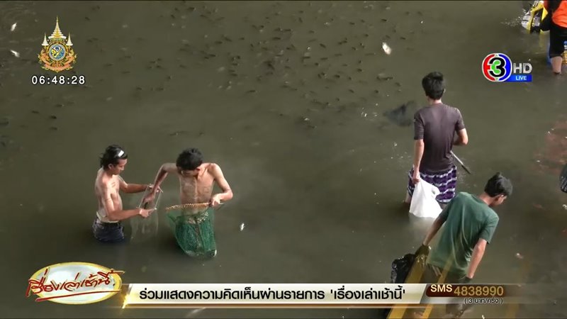 ปลาหมอคางดำ ปลาหมอคางดำ