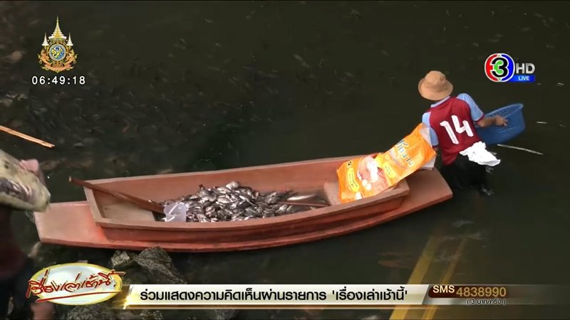 ปลาหมอคางดำ ปลาหมอคางดำ