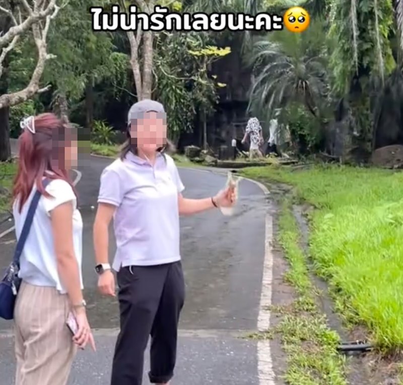 นักท่องเที่ยวยิงหนังสติ๊กใส่นกสวนสัตว์เปิดเขาเขียว คนแห่จวกยับ นักท่องเที่ยวยิงหนังสติ๊กใส่นกสวนสัตว์เปิดเขาเขียว คนแห่จวกยับ