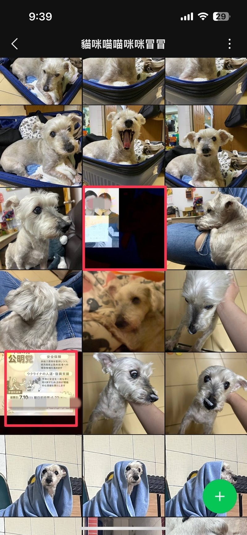 เรื่องสยอง เจอรูปคนลึกลับ โผล่ในอัลบั้มไลน์น้องหมาที่ตาย เรื่องสยอง เจอรูปคนลึกลับ โผล่ในอัลบั้มไลน์น้องหมาที่ตาย